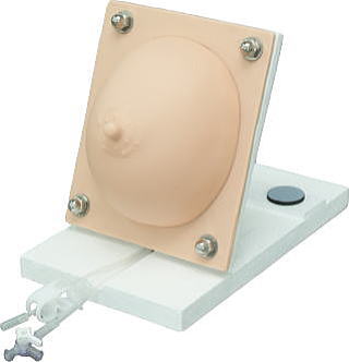 搾乳トレーニングモデル