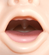 oral